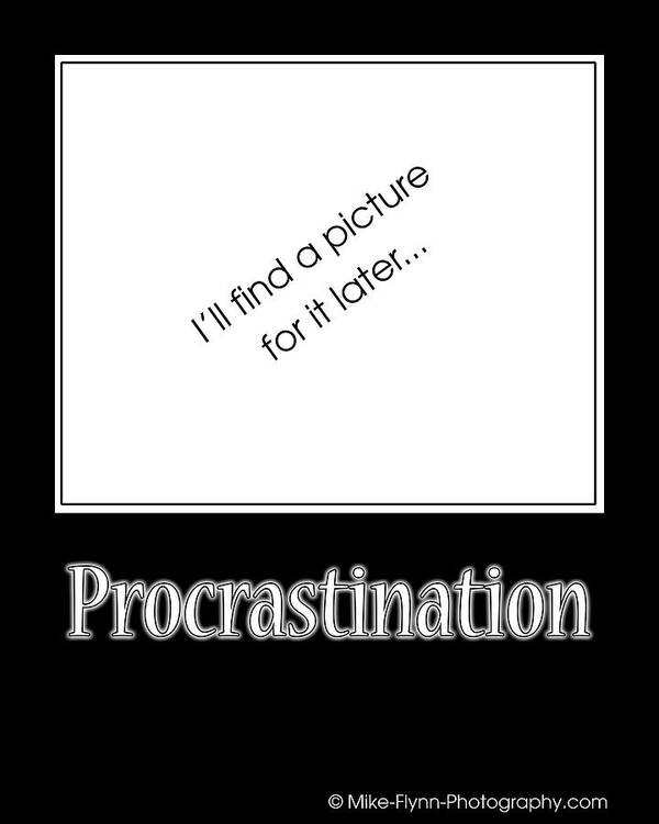 Quotation Art Print featuring the photograph Procrastination by Mike Flynn