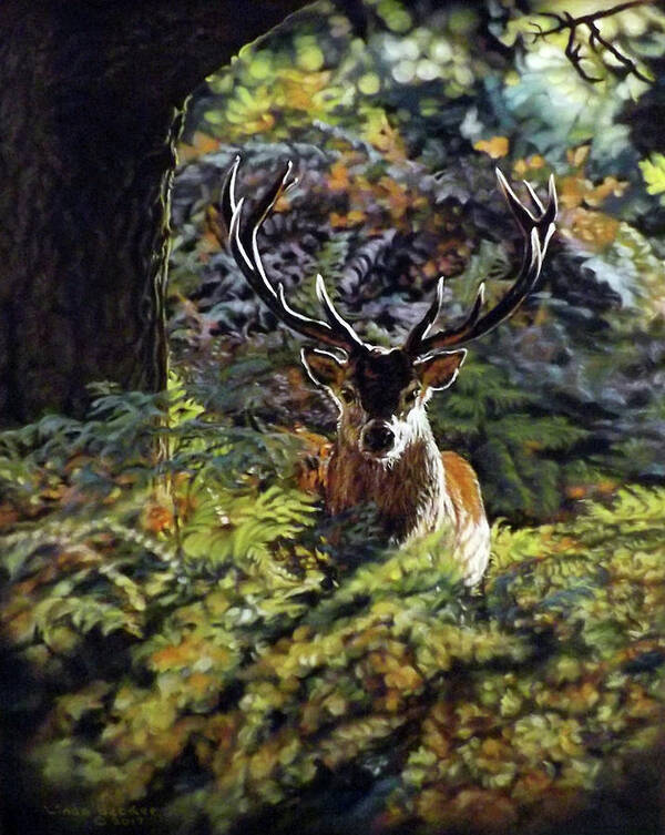 Red Deer Art Print featuring the pastel Red Deer Stag by Linda Becker