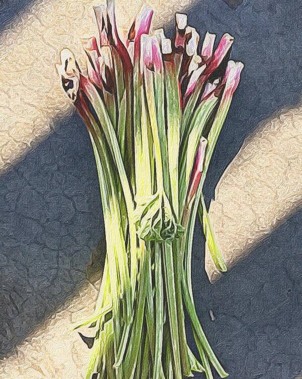 Still Life Art Print featuring the photograph Rhubarb by Michele Meehl