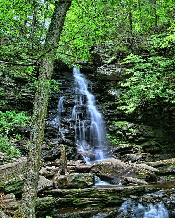 Waterfall Art Print featuring the photograph Ricketts Glen S P - Ozone Falls by Allen Beatty