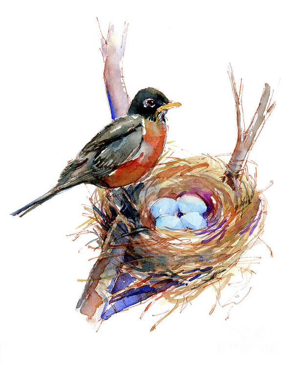 Robin with Nest and Eggs Art Print featuring the painting Robin with nest by John Keeling