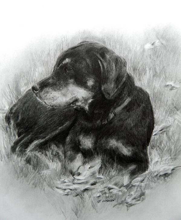 Dog Art Print featuring the drawing Ruby by Meagan Visser