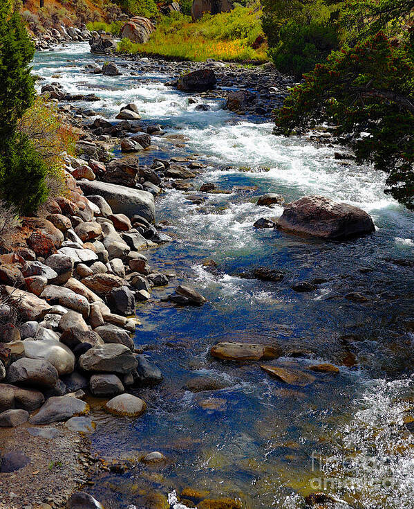 Creek Art Print featuring the photograph Running Water by Robert Pearson