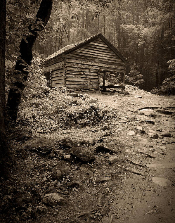 Rustic Art Print featuring the photograph Rustic Cabin by Larry Bohlin