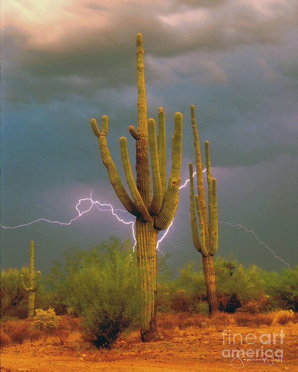 Saguaro Art Print featuring the photograph Saguaro Lightning Arizona by Joanne West