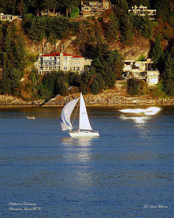 Sailboat Art Print featuring the photograph Sailboat in Vancouver by Robert Meanor