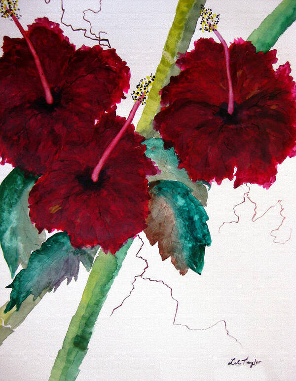 Hibiscus Art Print featuring the painting Scarlet Red by Lil Taylor