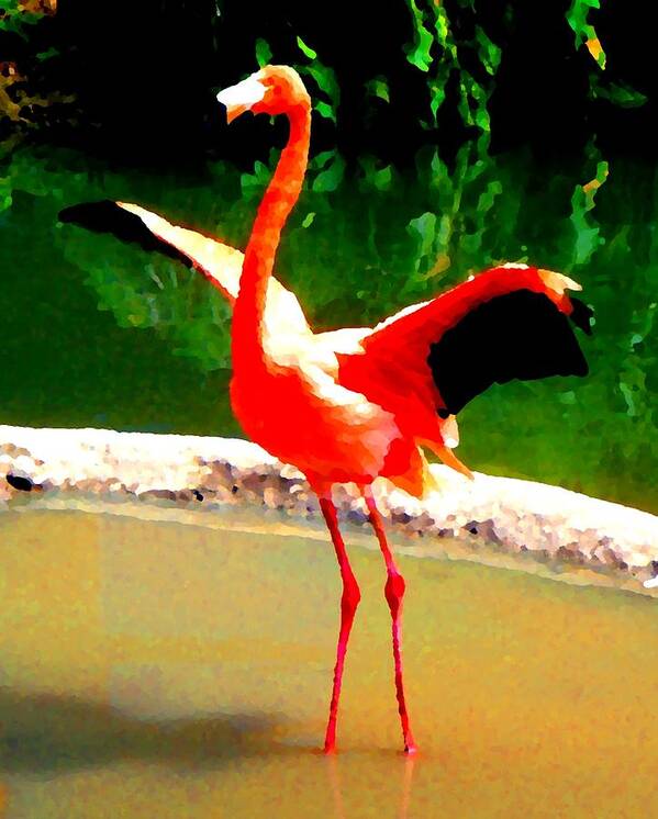 Flamingo Art Print featuring the photograph Showing Off by Roberto Alamino