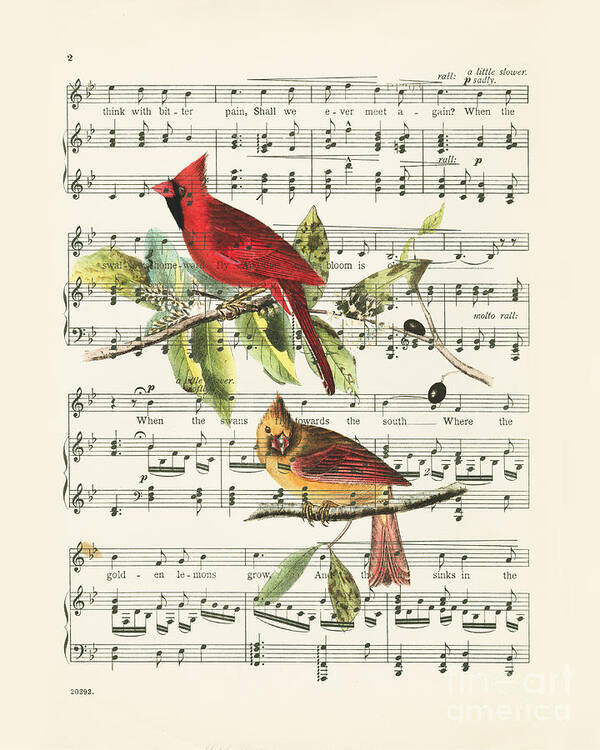 Music Art Print featuring the drawing Singing cardinals, vintage sheet music by Delphimages Photo Creations