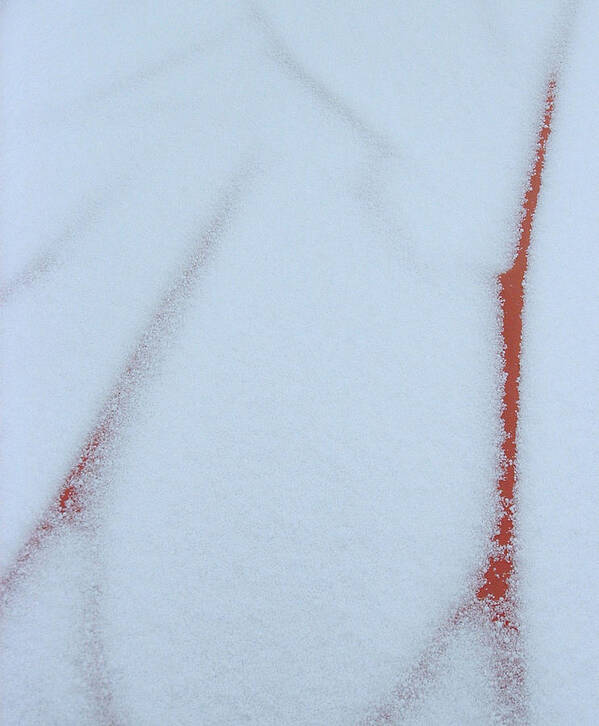 Snow Art Print featuring the photograph Snow Veins by Annekathrin Hansen