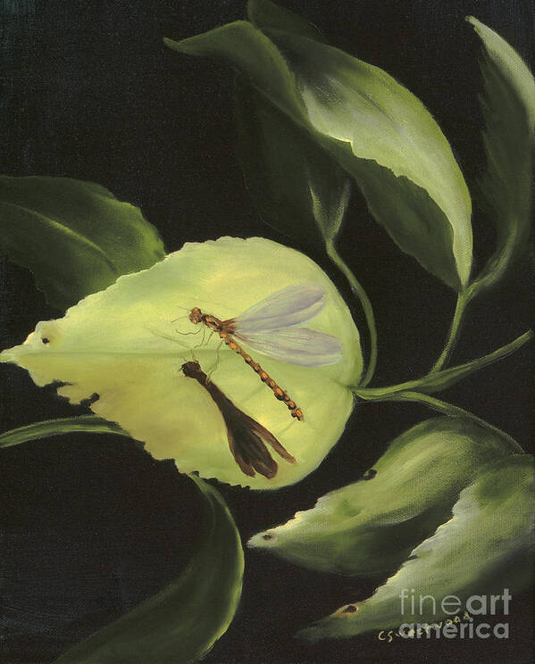 Dragonfly Art Print featuring the painting Soft Landing by Carol Sweetwood