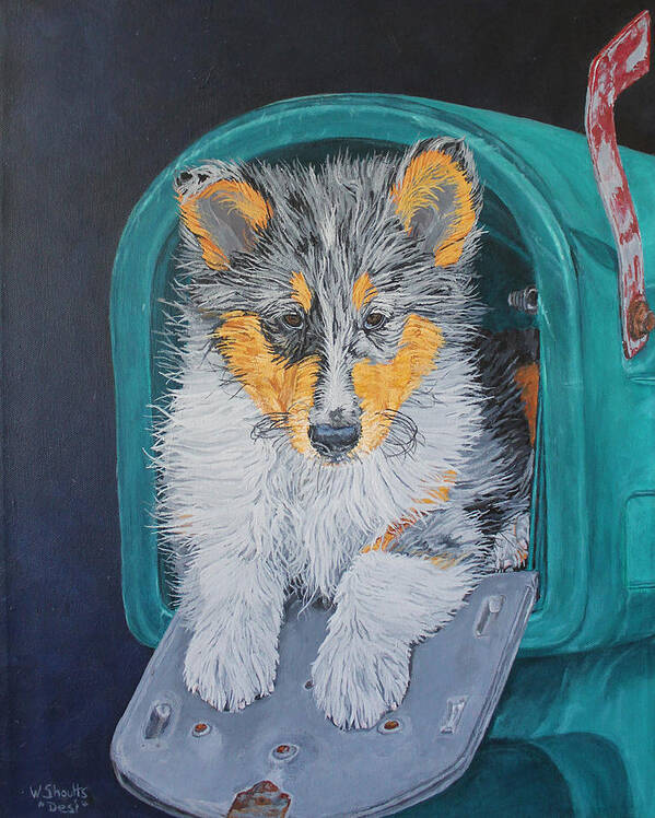 Blue Merle Collie Art Print featuring the painting Special Delivery by Wendy Shoults