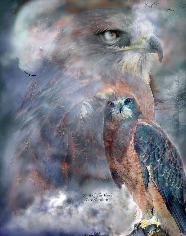Hawk Art Print featuring the mixed media Spirit Of The Hawk by Carol Cavalaris