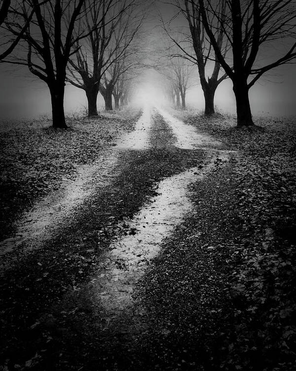 Spooky Art Print featuring the photograph Spooky Way by Jeff Cooper