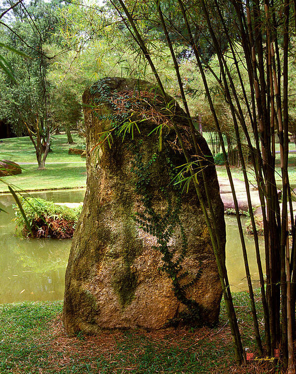 Standing Stone Art Print featuring the photograph Standing Stone with Fern and Bamboo 19A by Gerry Gantt
