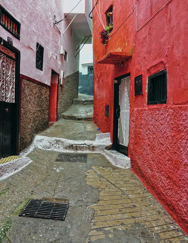 Path Art Print featuring the photograph Strawberry Dreams - Tangier, Morocco by Denise Strahm