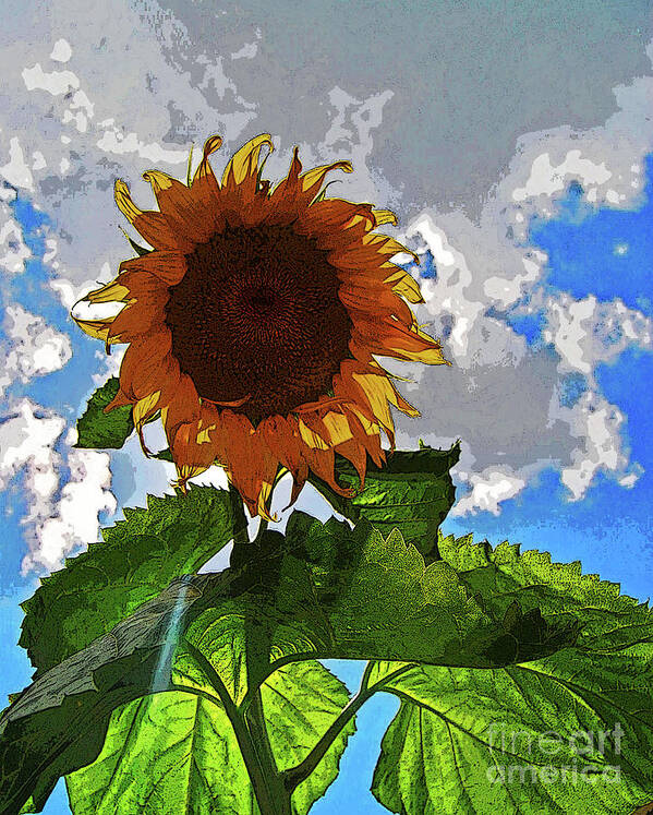 Florida Art Print featuring the photograph Sunflower Staring You in the Eye by George D Gordon III