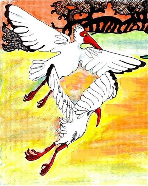 Ibis Art Print featuring the drawing Sunset flight by Carol Allen Anfinsen