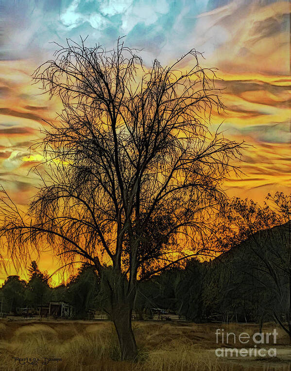 Photograph Shot Art Print featuring the digital art Sunset in Perris by Rhonda Strickland