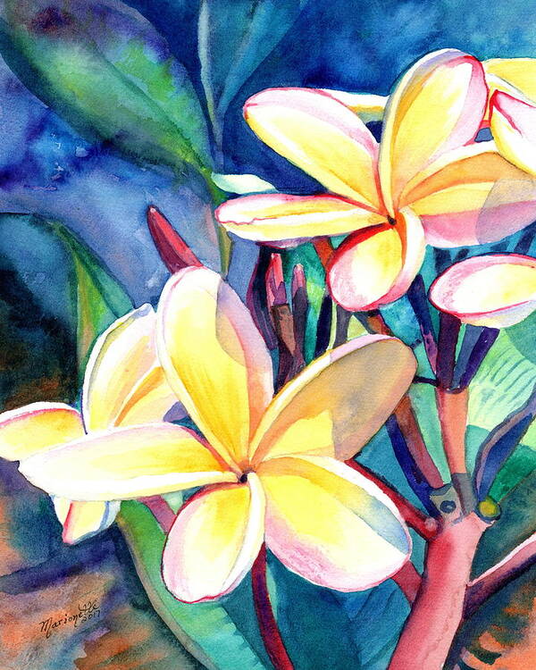 Kauai Art Print Art Print featuring the painting Sweet Plumeria 4 by Marionette Taboniar