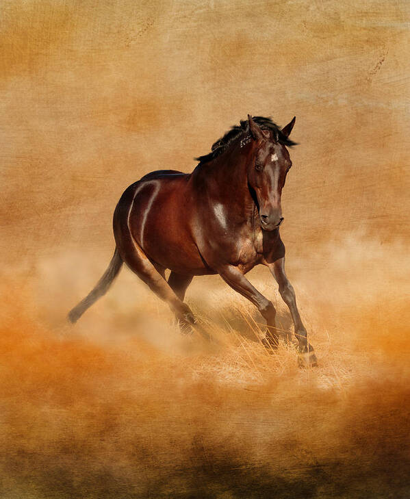 Horse Art Print featuring the photograph Sweet Serenity by Michelle Wrighton
