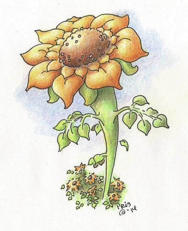 Flower Art Print featuring the drawing Tall Sunflower by Pris Hardy