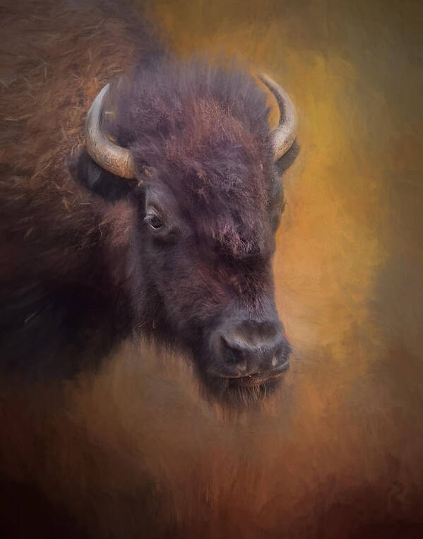 American Buffalo Art Print featuring the photograph The American Bison II by David and Carol Kelly
