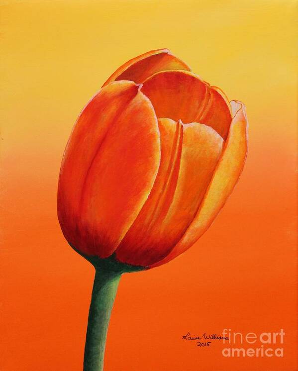 The Golden Tulip Art Print Louise Williams by Louise Williams