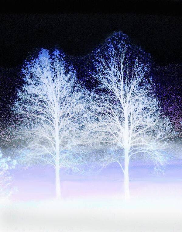 Abstract Photos Art Print featuring the photograph Two Trees in Winter by Coke Mattingly
