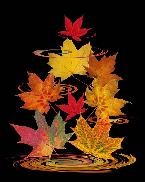 Autumn Leaves Art Print featuring the photograph Whirling Autumn Leaves by Gill Billington
