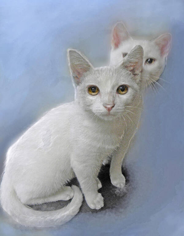 Kittens Art Print featuring the painting White Kittens by Jane Schnetlage