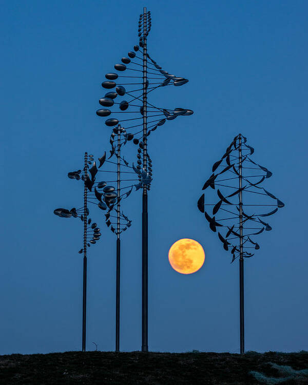 Landscape Art Print featuring the photograph Wind Sculptures at Wilkeson Pointe by Chris Bordeleau