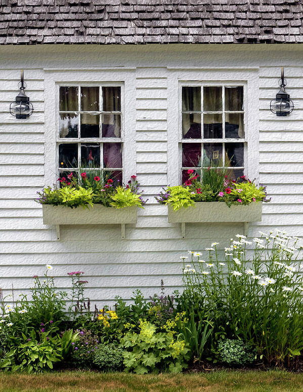 Flowers Art Print featuring the photograph Window Boxes and Flowers by Betty Denise