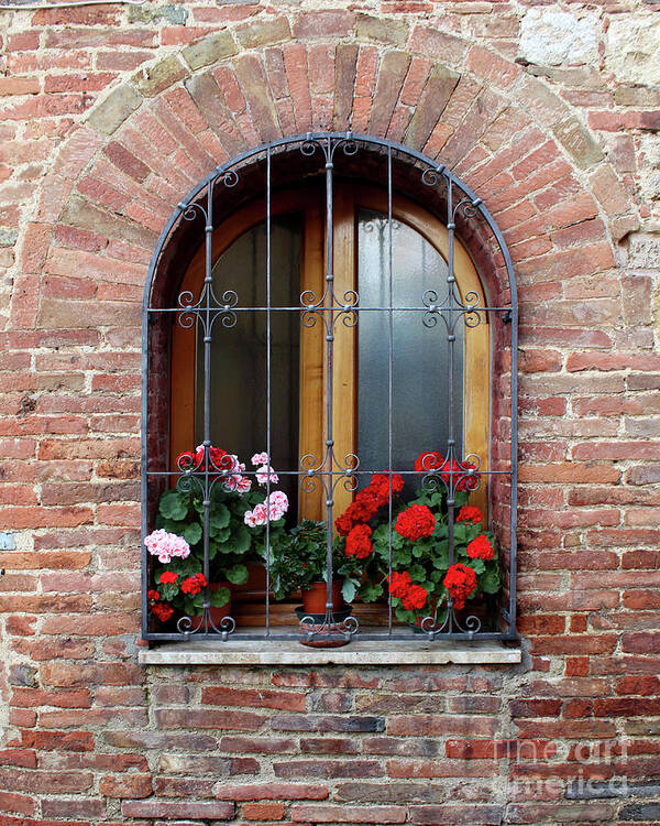 Window; Flower; Flowers; Brick; Arch; Ancient; Old; Wall; Pienza; Italy; Quaint; Pretty; Beautiful; Beauty; Lovely; Red; Pink; Historic; Iron Bar; Archway; Wood; House; Home; Potted Plant; Wrought Iron; Masonry; Renaissance; Town; Open Art Print featuring the photograph Window in Pienza by Adam Long