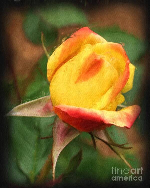 Rose Art Print featuring the painting Yellow And Orange Rosebud by Smilin Eyes Treasures