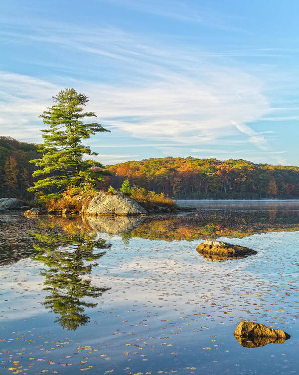 Dawn Art Print featuring the photograph Zen Morning At Little Long Pond Vertical Cropped by Angelo Marcialis