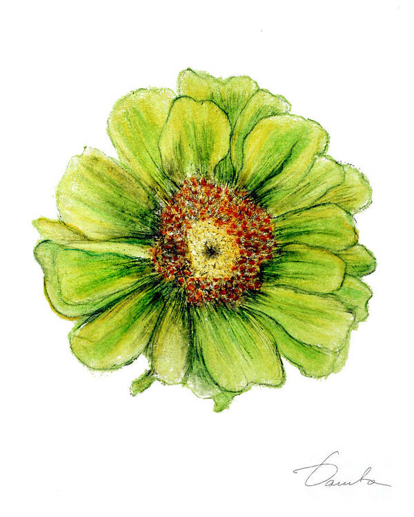 Beautiful Art Print featuring the painting Zinnia by Danuta Bennett