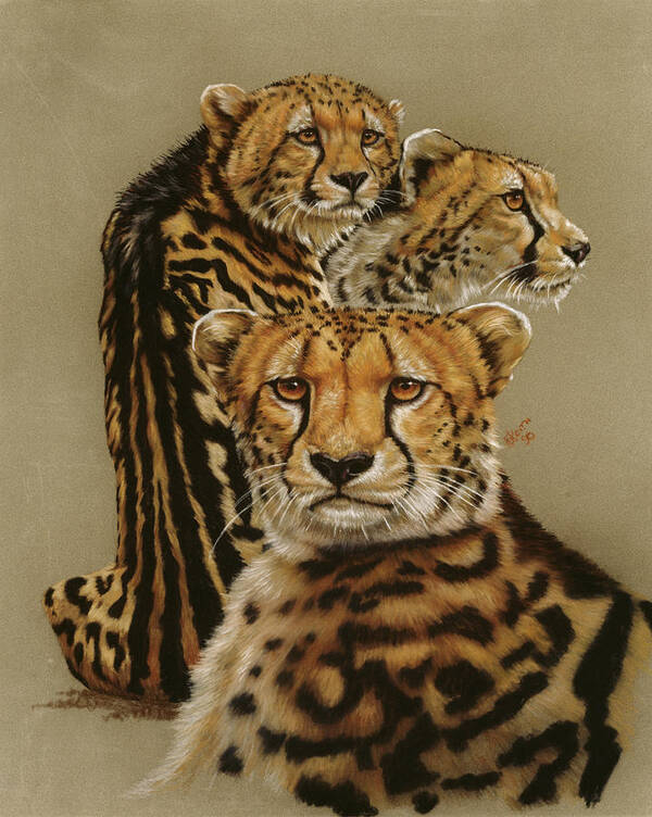 Cheetah Art Print featuring the painting Majestic Vagabond #1 by Barbara Keith