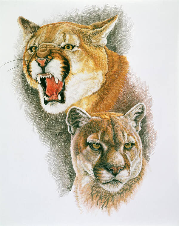 Cougar Art Print featuring the painting Mountain King #1 by Barbara Keith
