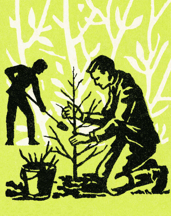 Adult Art Print featuring the drawing Planting a tree #1 by CSA Images