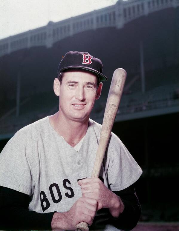 People Art Print featuring the photograph Ted Williams by Hulton Archive