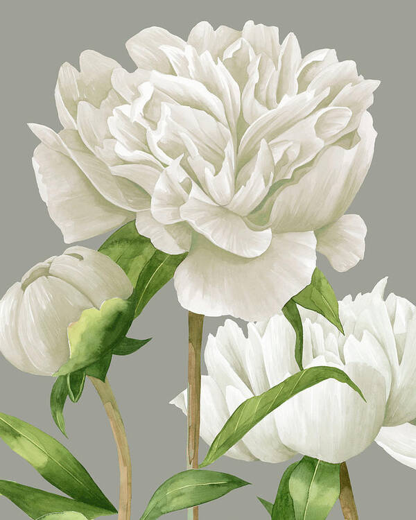 Botanical & Floral Art Print featuring the painting White Peonies II #1 by Grace Popp