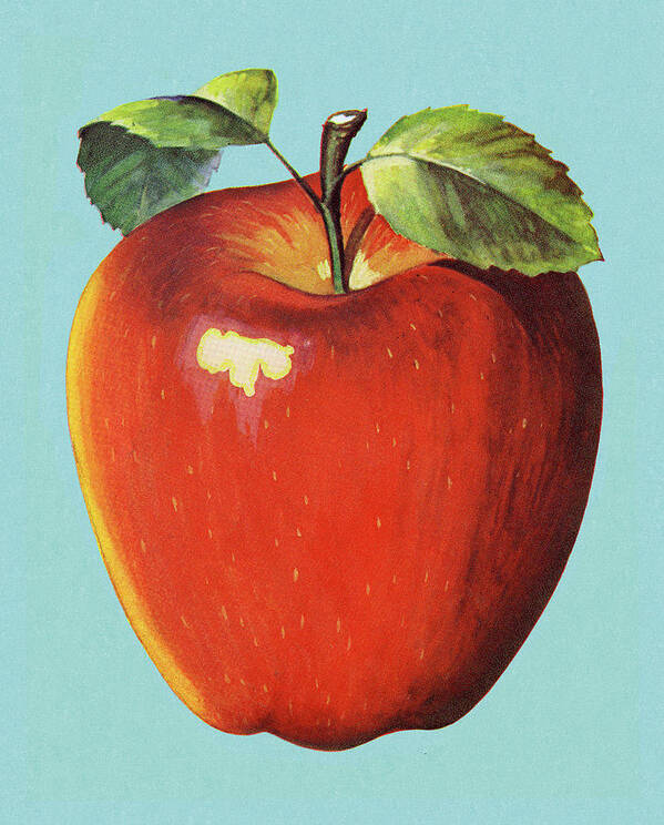 Apple Art Print featuring the drawing Apple #16 by CSA Images