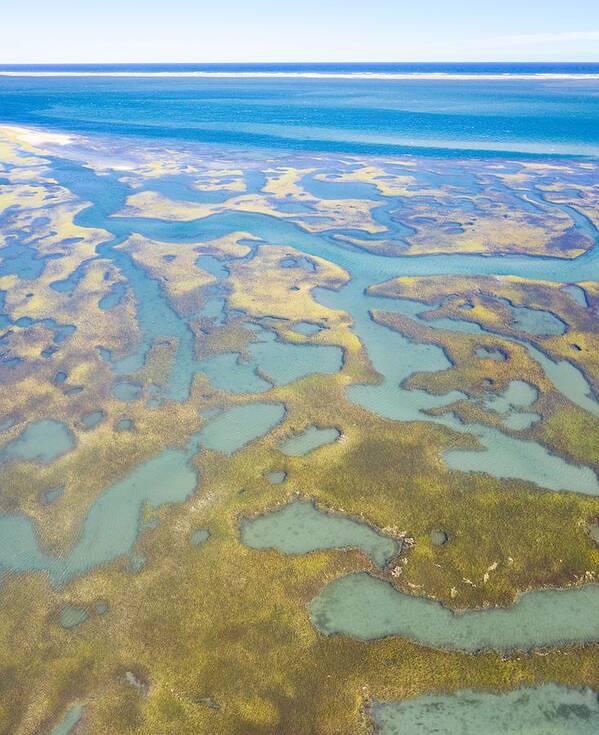 Landscapeaerial Art Print featuring the photograph Salt Marshes And Estuaries Are Found #2 by Ethan Daniels