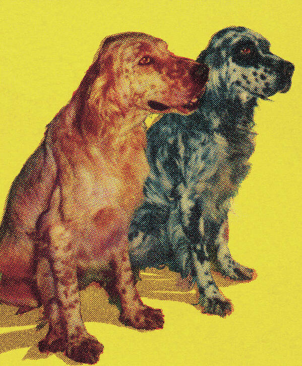 Animal Art Print featuring the drawing Two Dogs #2 by CSA Images