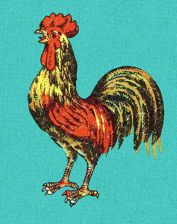 Agriculture Art Print featuring the drawing Rooster #4 by CSA Images