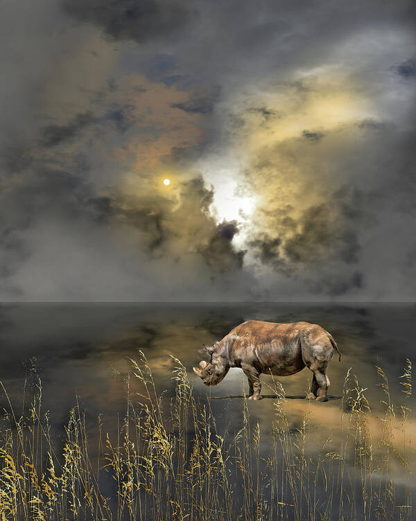 Sky Art Print featuring the photograph 4783 by Peter Holme III
