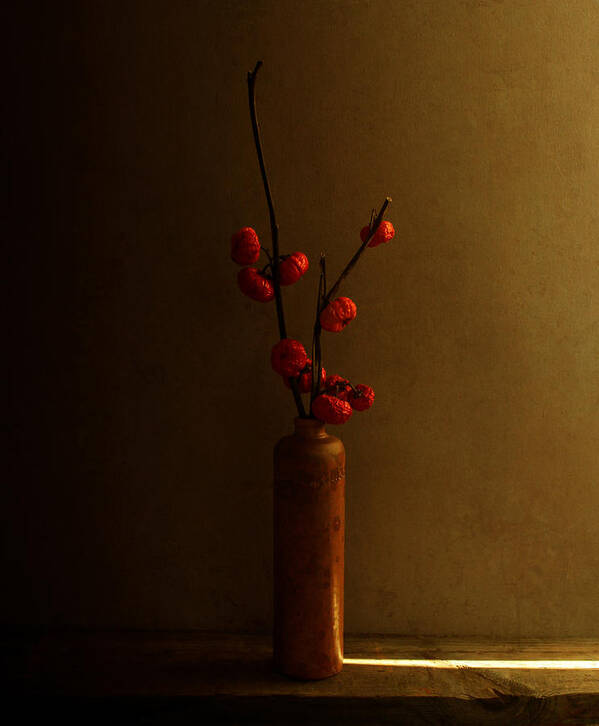 Vase Art Print featuring the photograph #5 by Margaret Halaby