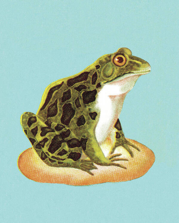 Amphibian Art Print featuring the drawing Toad #6 by CSA Images
