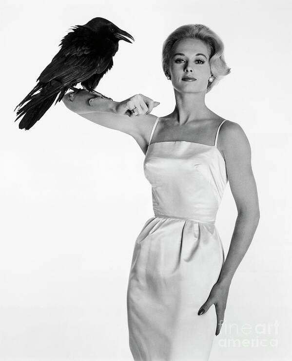 Mid Adult Women Art Print featuring the photograph Actress Tippi Hedren Posing With A Raven by Bettmann